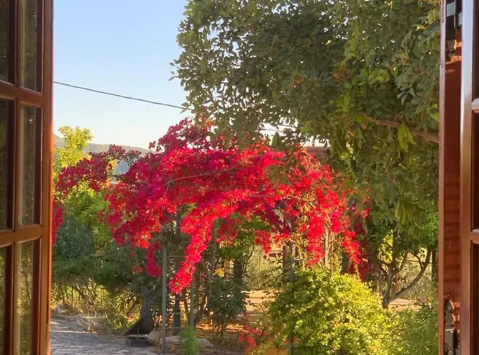 Santava House Kır Evi